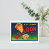 Etiket voor ballonkruid briefkaart (Staand voorkant)