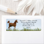 ETIKET VOOR HORSE (Insitu)