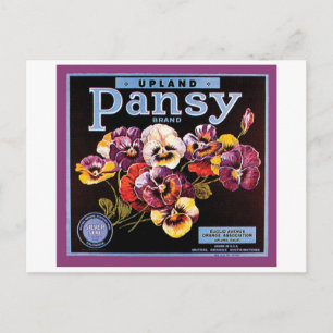 Etiket voor  kratten voor Upland Pansy Briefkaart