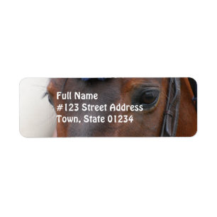 Etiket voor paardenprofiel