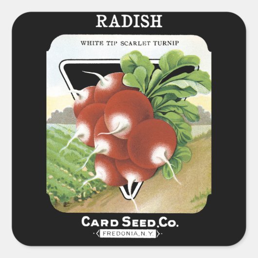 Etiket voor Radish Seed Packet (Voorkant)