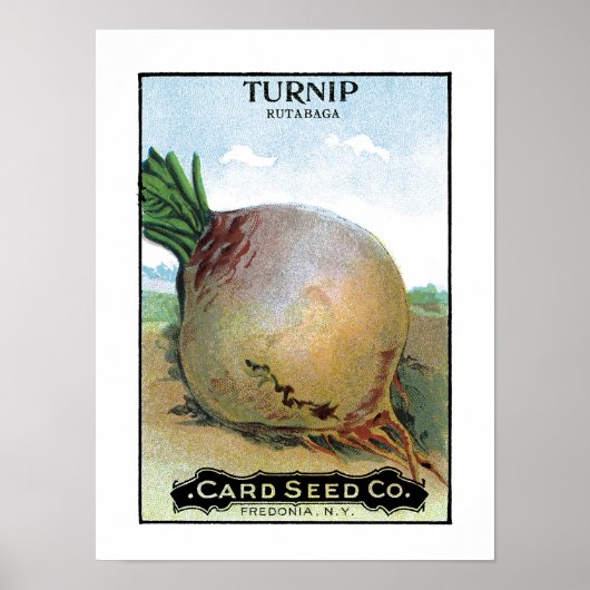 Etiket voor turnip-zaadverpakking poster (Voorkant)