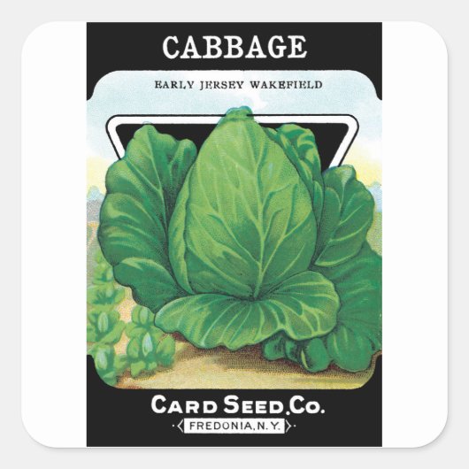 Etiket voor zaaizaad Kunst, groen kool (Voorkant)