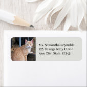 Etiketten van het Adres van de Terugkeer van het O (Insitu)