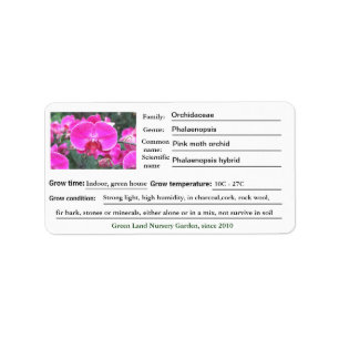 Etiketten voor roze orchidee-bloementjes.