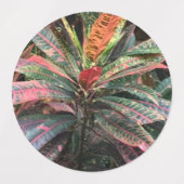 ETIKETTERS VOOR CIRCLE LABELS (Design 1)