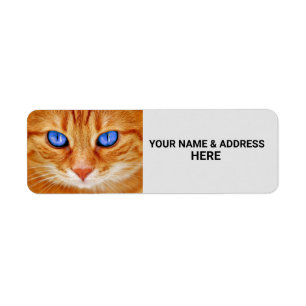 ETIKETTERS VOOR INGERTABBY CAT-RETURN ADRES ETIKET