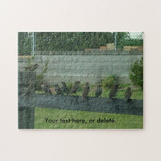 Étincelles Oiseaux sur un rail Vos mots Puzzles (Horizontal)