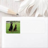 Étiquette 2 dobies.png (En situation)