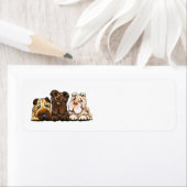 Étiquette 3 chinois Shar Pei (En situation)