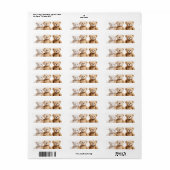 Étiquette 3 teddy bears  (Feuille entière)
