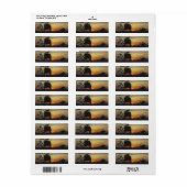 Étiquette 5e armée spéciale sf green berets vietnam guerre (Feuille entière)