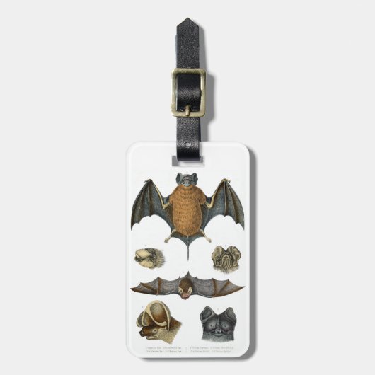 Étiquette À Bagage 19e impression de chaume C. (Devant Vertical)