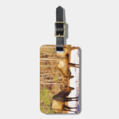 Étiquette À Bagage 2~ deux Bull Elk dans la neige (Devant Vertical)