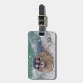 Étiquette À Bagage A baby seal surfing (Devant Vertical)