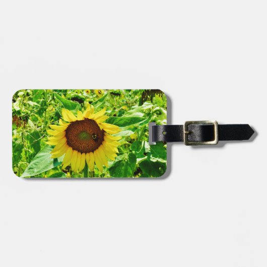 Étiquette À Bagage Abeille sur tournesol jaune (Devant horizontal)
