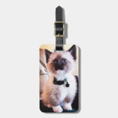 Étiquette À Bagage Adorable bleu teint Masqué Kitten photo (Devant Vertical)