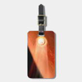 Étiquette À Bagage Aérocoque Avec Perpersévérance Rover Descente Vers (Devant Vertical)