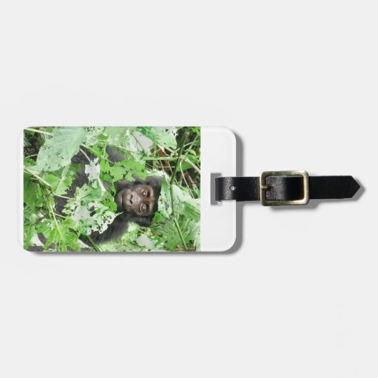 Étiquette À Bagage Africa - Gorilla Baby (Devant horizontal)