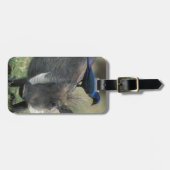 Étiquette À Bagage Afrique du Sud, Pilanesburg GR, Warthog (Devant horizontal)