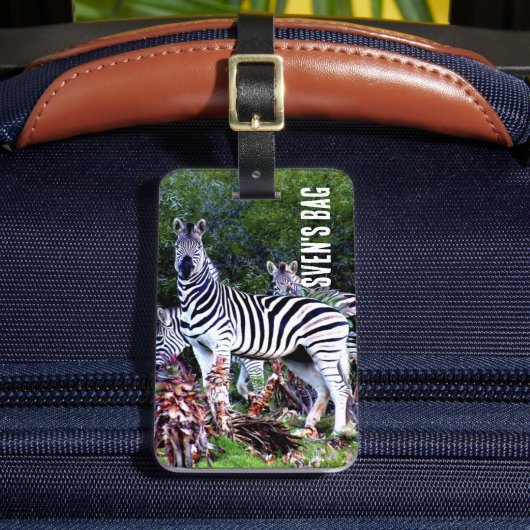 Étiquette À Bagage Afrique Zebra Aloe (Insitu Rectoal 2)