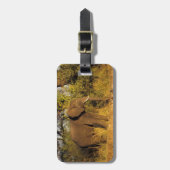 Étiquette À Bagage Afrique, Zimbabwe, Victoria Falls National Park. (Devant Vertical)