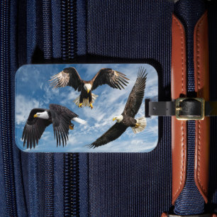 Étiquette À Bagage Aigle à tête blanche