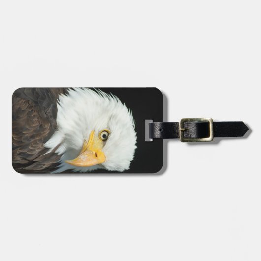 Étiquette À Bagage Aigle chauve (Devant horizontal)