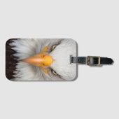 Étiquette À Bagage Aigle de Bald (Devant Horizontal)