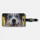 Étiquette À Bagage Ajouter une Personnaliser photo pour animaux domes (Dos horizontal)