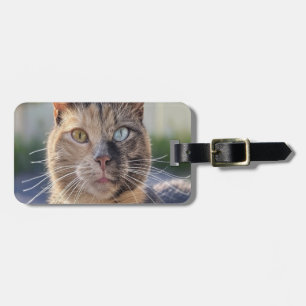 Étiquette À Bagage Ajouter une photo de chat Personnaliser