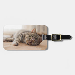 Étiquette À Bagage Ajouter votre propre animal de compagnie chat Phot