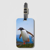 Étiquette À Bagage Ajouter Votre Propre Modèle photo Image Cadeaux Pe (Devant Vertical)