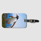 Étiquette À Bagage Ajouter Votre Propre Modèle photo Image Cadeaux Pe (Devant Horizontal)