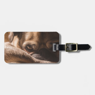 Étiquette À Bagage Ajouter votre propre voyage photo chien   carlin d