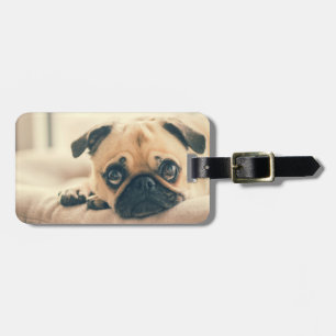 Étiquette À Bagage Ajouter votre propre voyage photo chien   carlin d