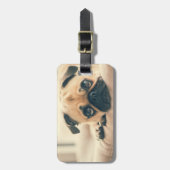 Étiquette À Bagage Ajouter votre propre voyage photo chien | carlin d (Devant Vertical)