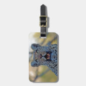 Étiquette À Bagage Alert Leopard (Devant Vertical)