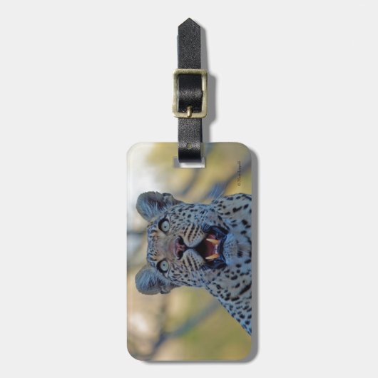 Étiquette À Bagage Alert Leopard (Devant Vertical)