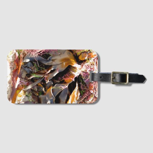 ÉTIQUETTE À BAGAGE ALGUES (Devant Horizontal)