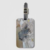 Étiquette À Bagage Alligator, Fort Lauderdale, Floride (Devant Vertical)