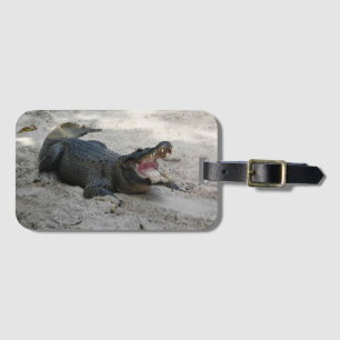 Étiquette À Bagage Alligator, Fort Lauderdale, Floride