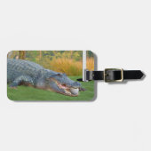 Étiquette À Bagage Alligator, mensonge dangereux dans le golf (Devant horizontal)
