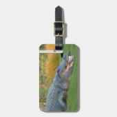 Étiquette À Bagage Alligator, mensonge dangereux dans le golf (Devant Vertical)