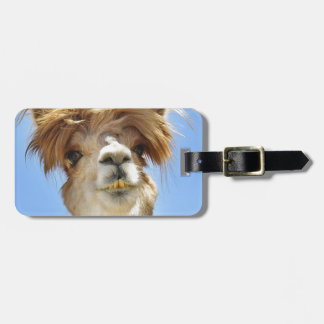 Étiquette À Bagage Alpaga fol de cheveux