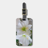 Étiquette À Bagage Amaryllis blanc et sapin de Noël (Devant Vertical)