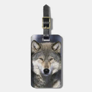 Étiquette À Bagage Amérique du Nord, États-Unis, Minnesota. Loup Cani