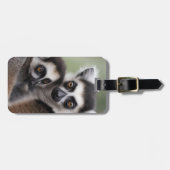 Étiquette À Bagage **"Amour de la mère : Mummy and Baby Lemur Cuddlin (Devant horizontal)