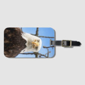 Étiquette À Bagage Amusante American Bald Eagle Face Faune Photo (Devant Horizontal)
