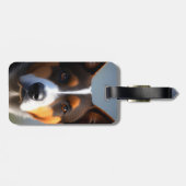 Étiquette À Bagage Andy The Australian Cattle Dog, (Dos horizontal)